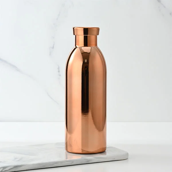 500 ml vakuumsko izolirana bučka iz nerjavečega jekla